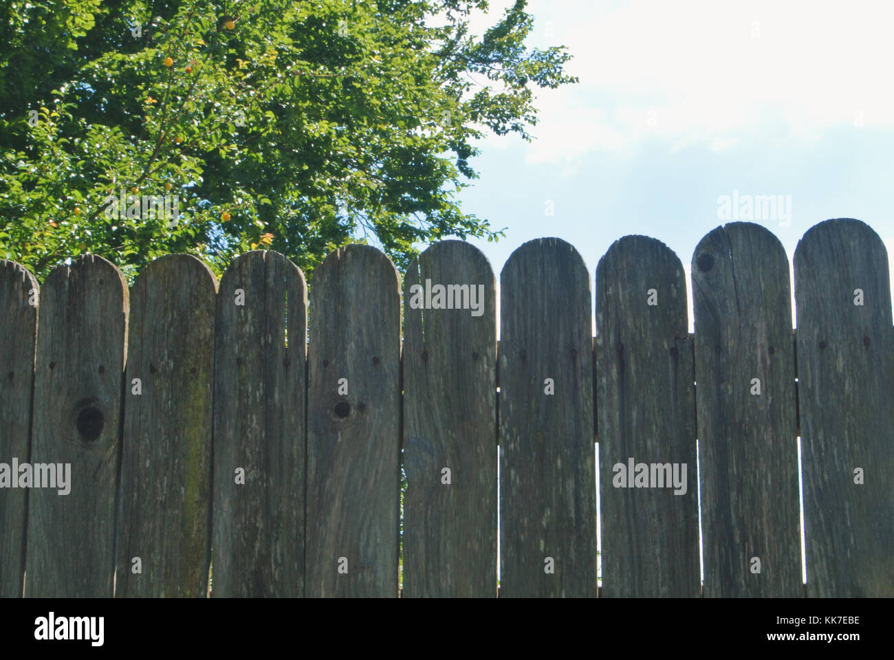 Close-up of an old wooden rural fence with a garden orchard behind ...