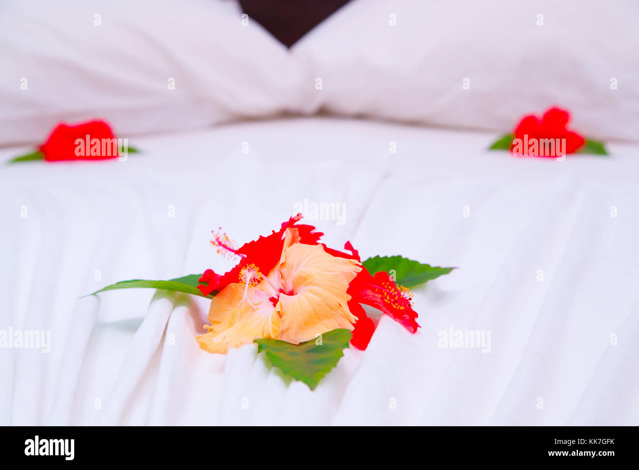 Flower decoration on the bed in a hotel Stock Photo - Alamy