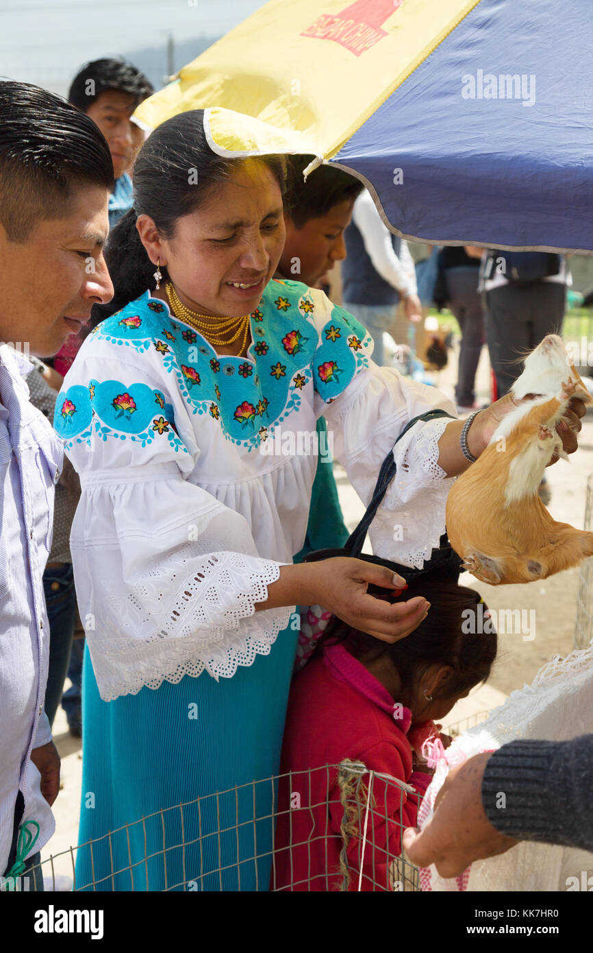 Otavalo animal market - a woman buying a guinea pig, Otavalo animal market, Otavalo, Ecuador South America Stock Photo