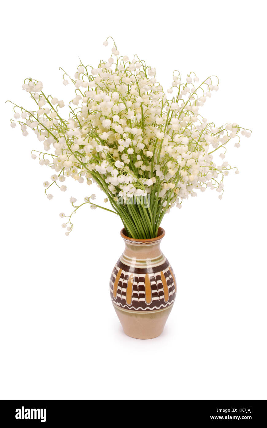 Bouquet lily of the valley in a pot isolated on white background with ...