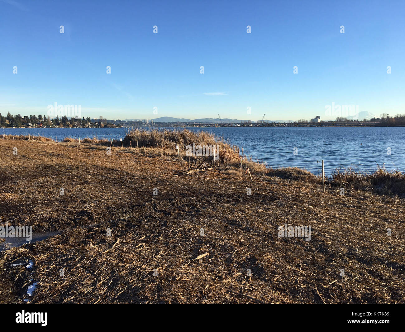 Ubna Sr 520 union bay natural area hi-res stock photography and images - Alamy