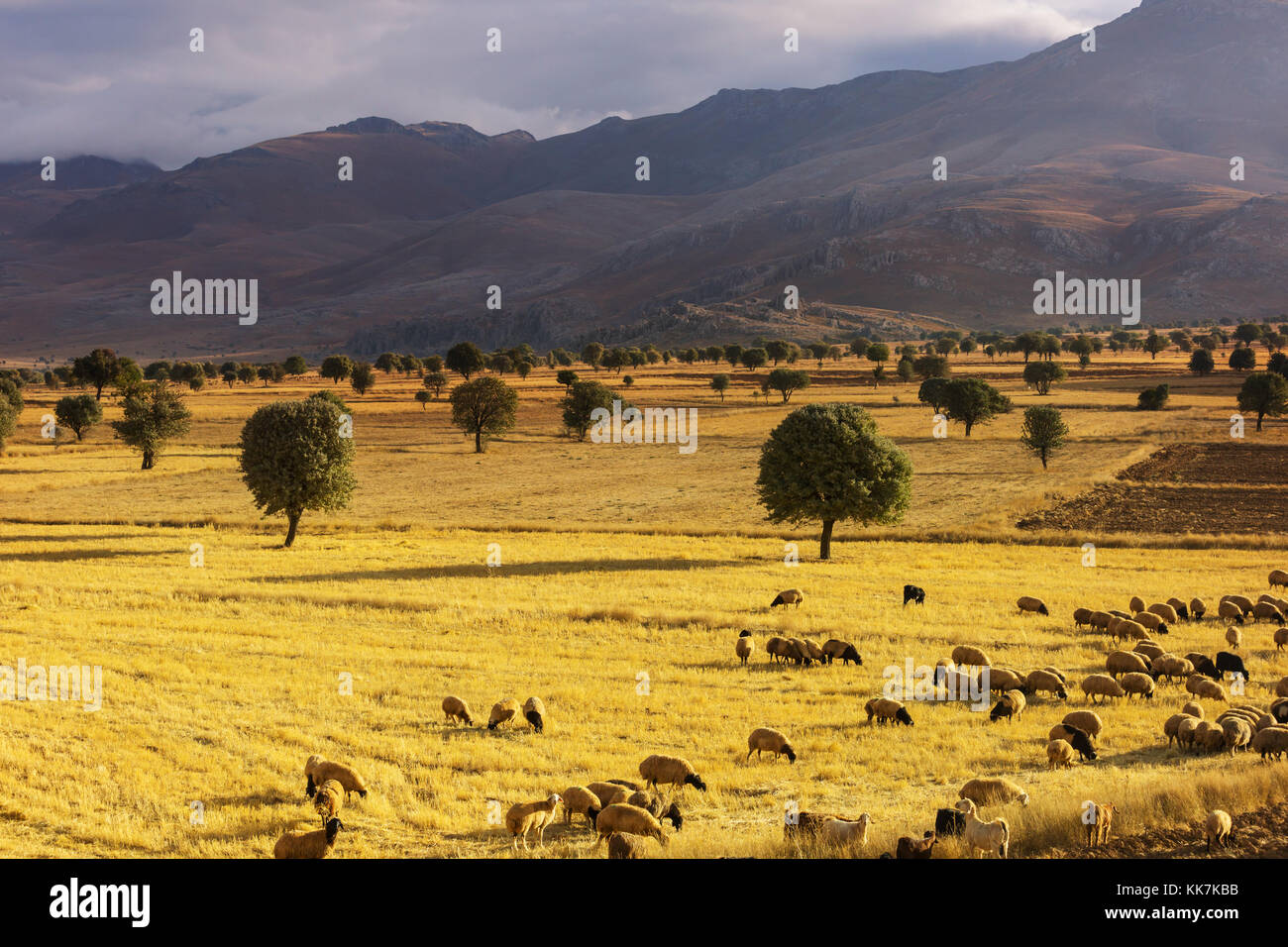 Turkish Rural Picturesque rural landscapes in Turkey. Autumn season Stock Photo - Alamy