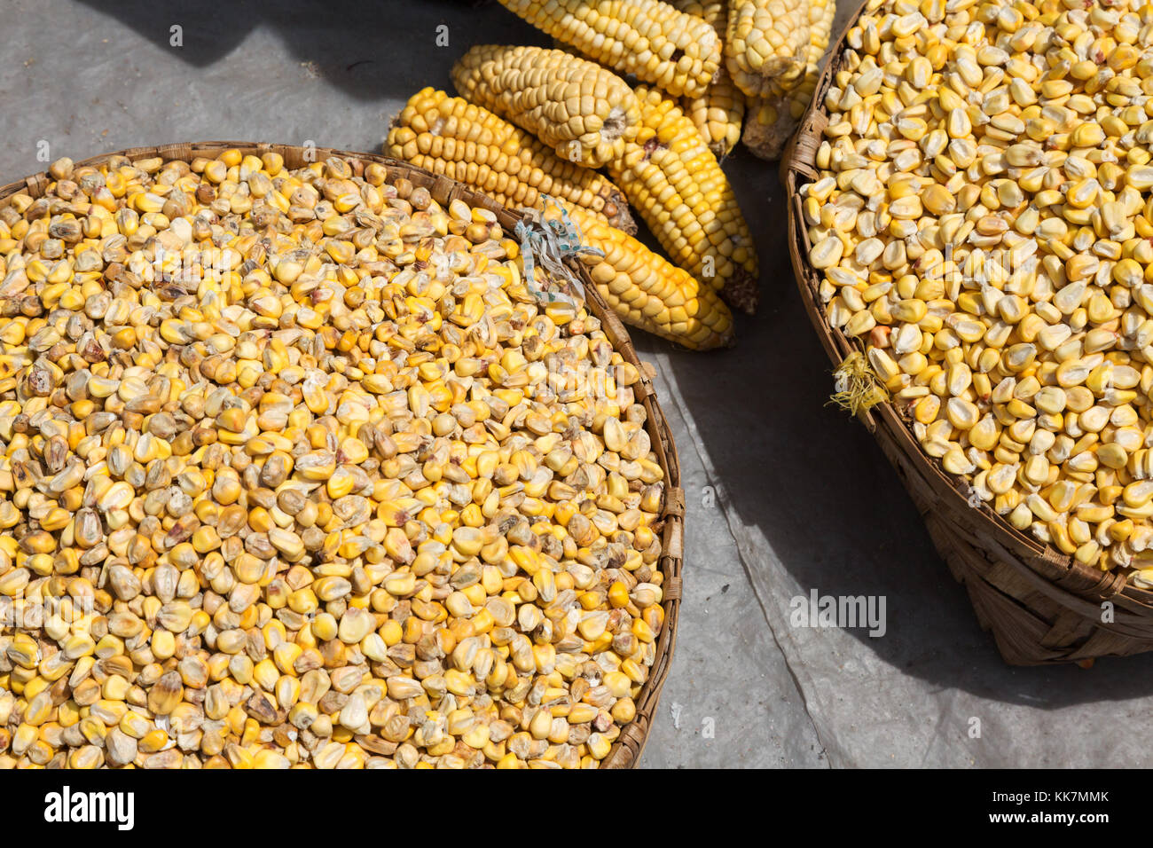 Maize ( Corn ) for sale, Otavalo food market, Otavalo, Ecuador, South America Stock Photo