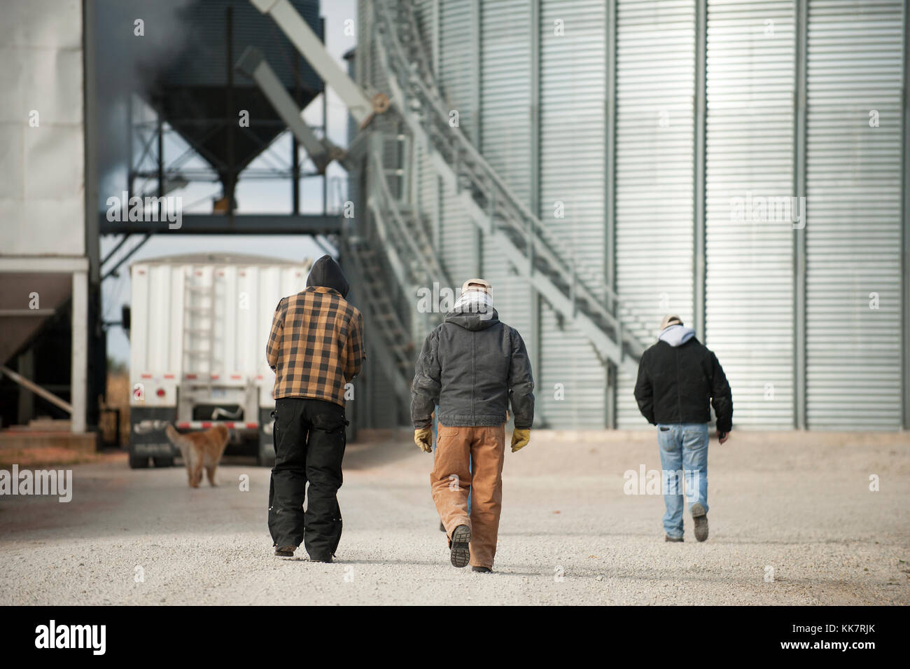 THREE GENERATIONS OF FARMERS WALKING ACROSS DRIVEWAY OF THE FAMILY FARM