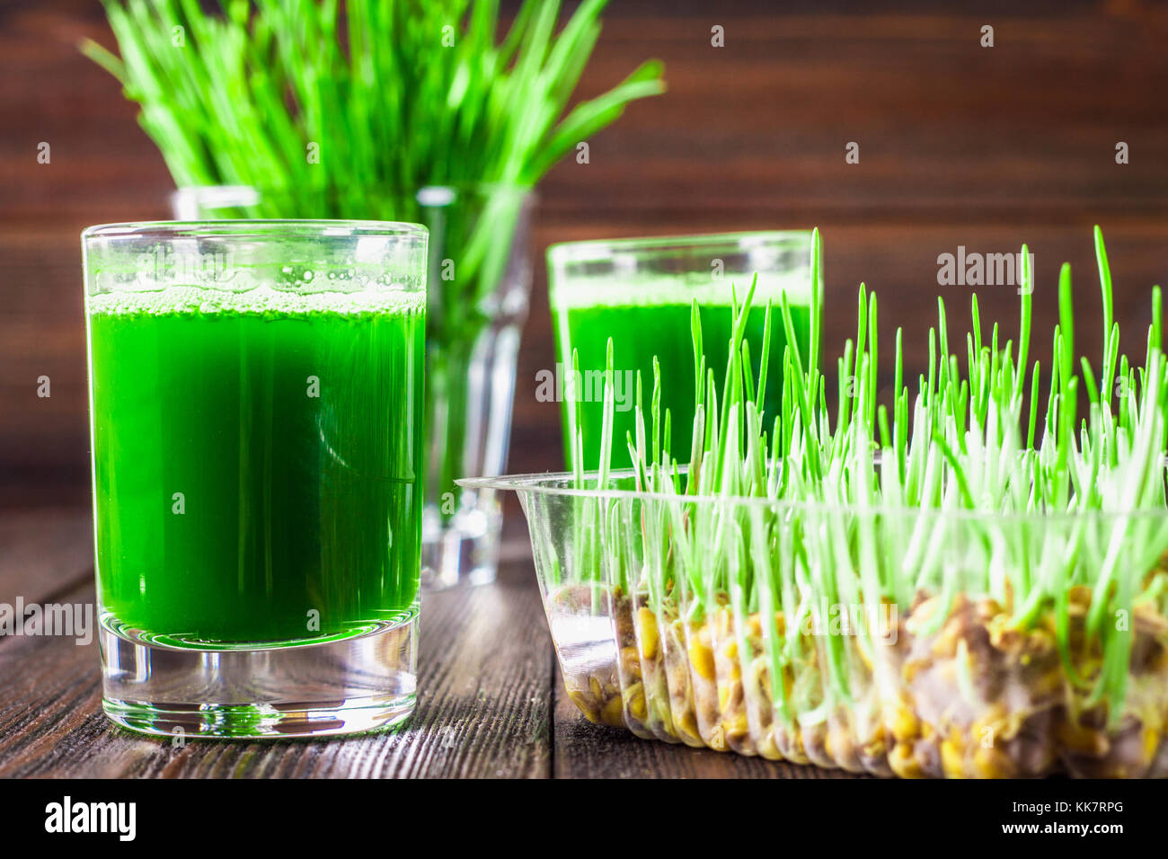 Wheatgrass shot. Juice from wheat grass. Trend of health Stock Photo