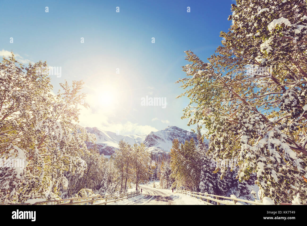 Early winter with first snow covering rocks and woods in the Glacier ...