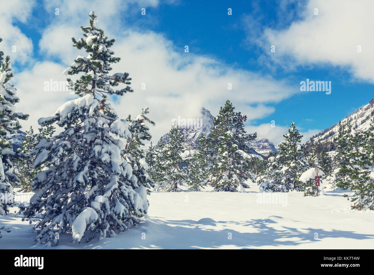 Early winter with first snow covering rocks and woods in the Glacier ...