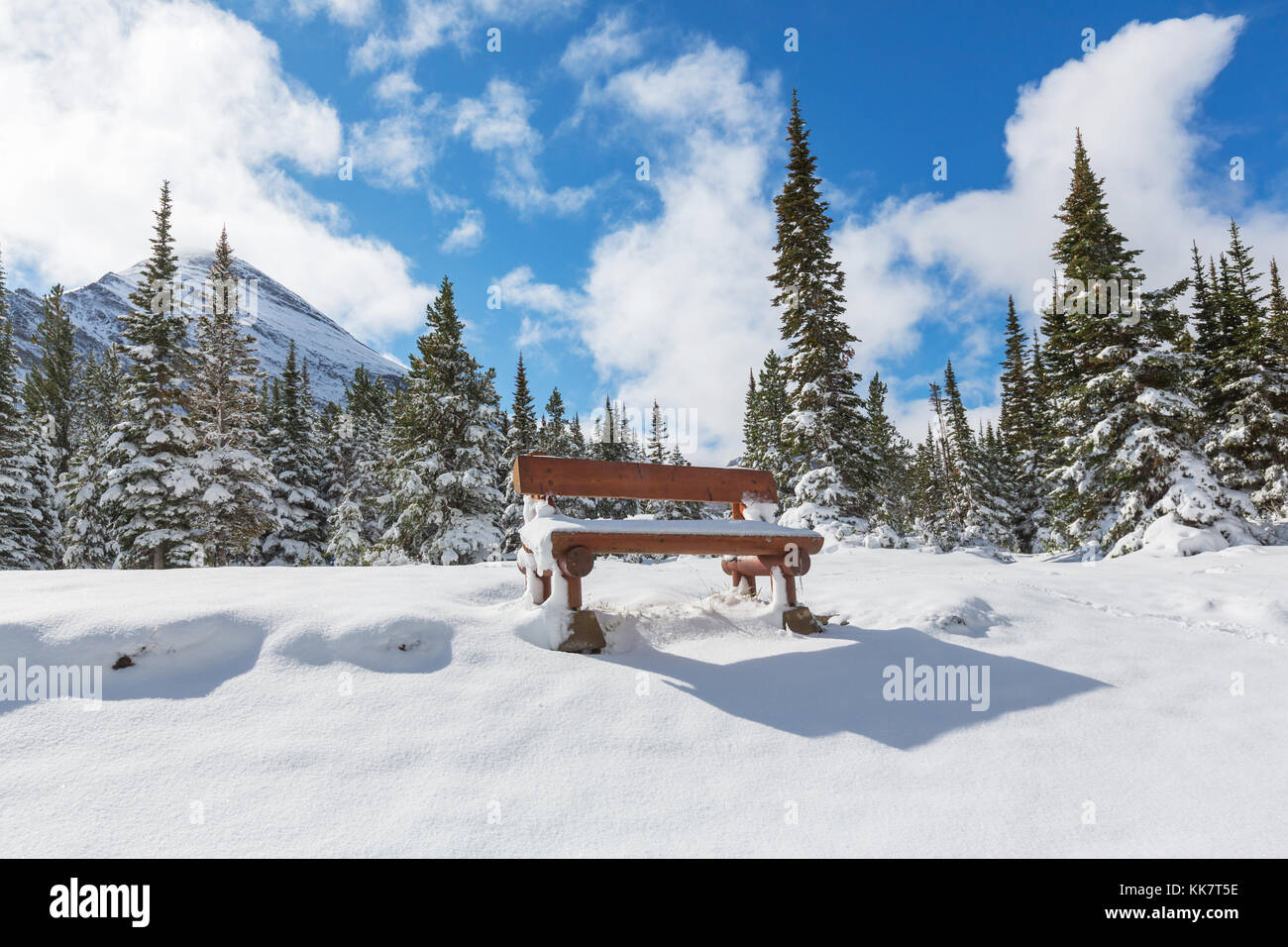 Early winter with first snow covering rocks and woods in the Glacier ...