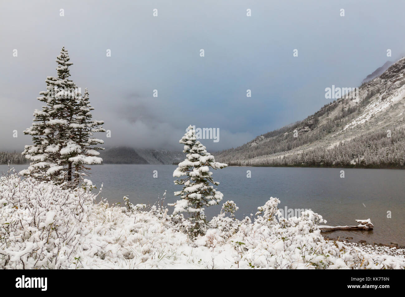 Early winter with first snow covering rocks and woods in the Glacier ...