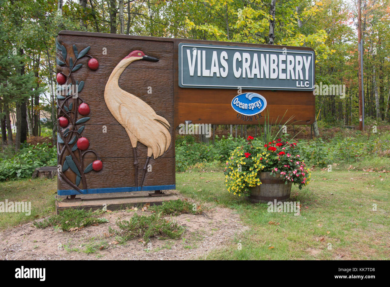 Vilas Cranberry farm in Manitowish Waters, Wisconsin Stock Photo Alamy