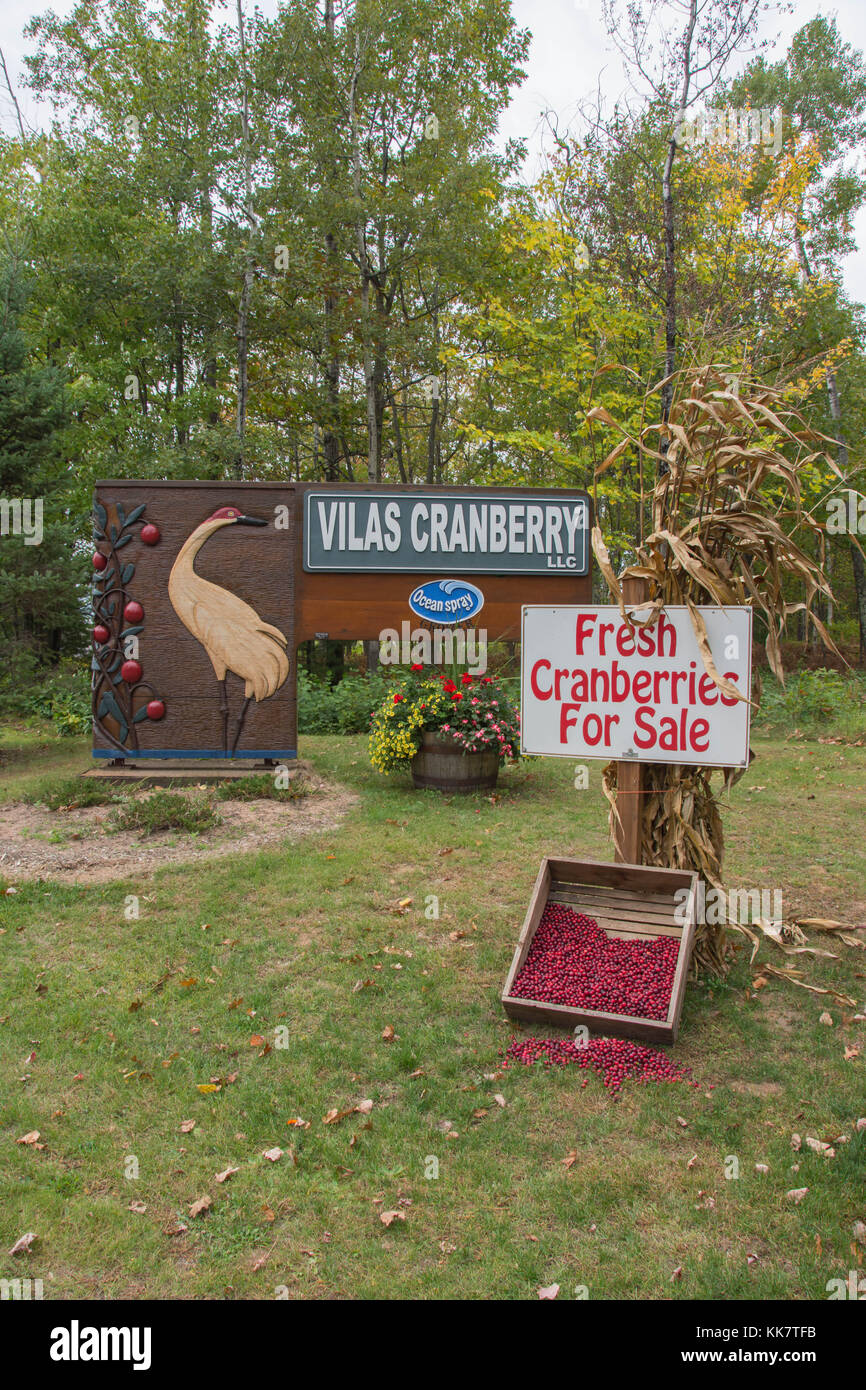 Vilas Cranberry farm in Manitowish Waters, Wisconsin Stock Photo Alamy