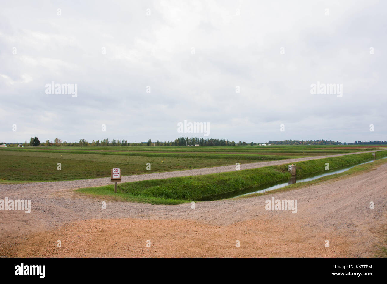 Vilas Cranberry farm in Manitowish Waters, Wisconsin Stock Photo Alamy