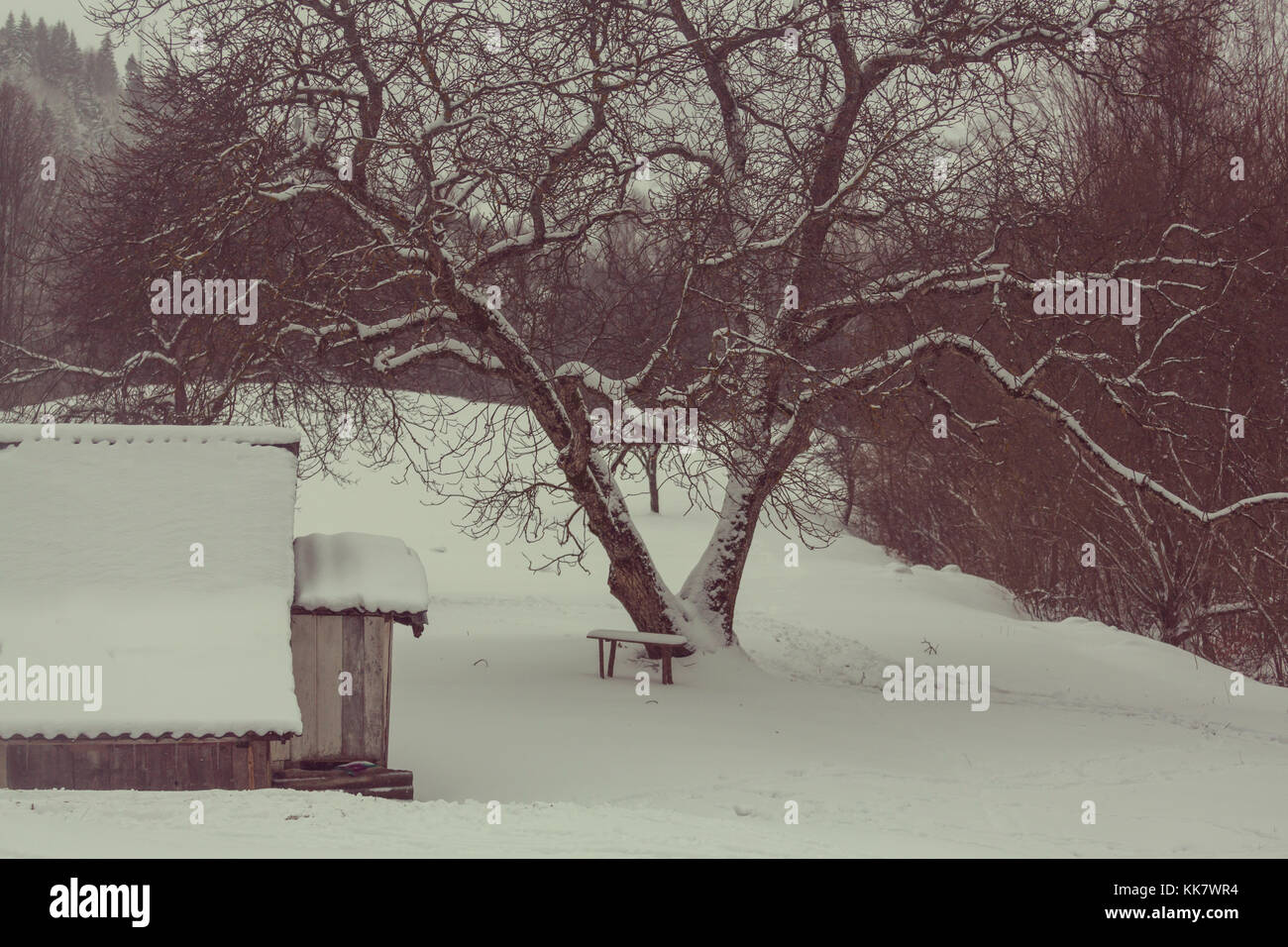 Village in the winter Stock Photo - Alamy