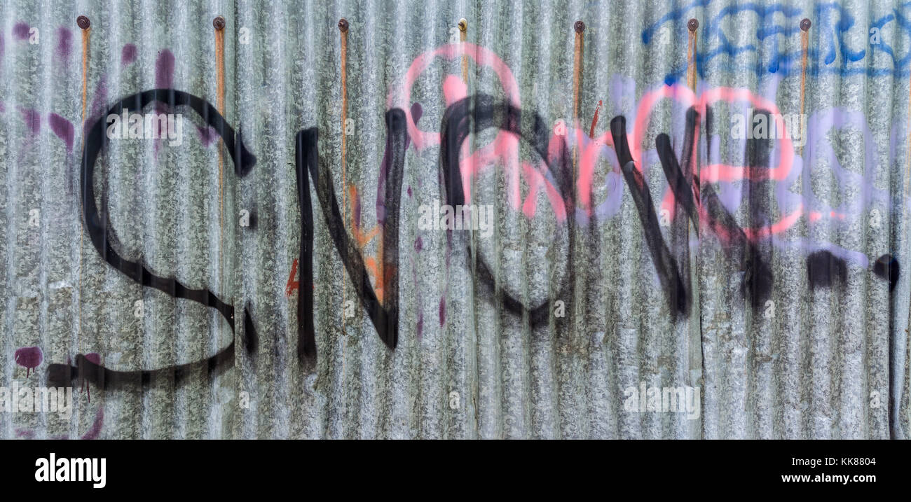 Detail of dirty corrugated iron with sprayed snow lettering. Wavy texture of urban fence from metal sheet with black, pink and blue writing. Graffiti. Stock Photo
