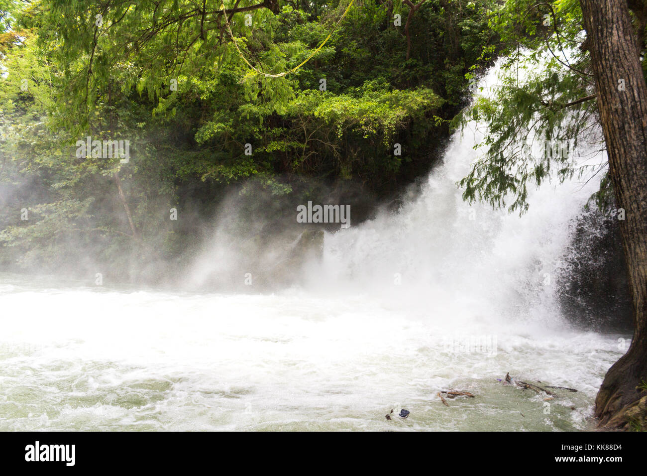 Waterfalls in the forest. Tamasopo, San Luis Potosí. Mexico Stock Photo