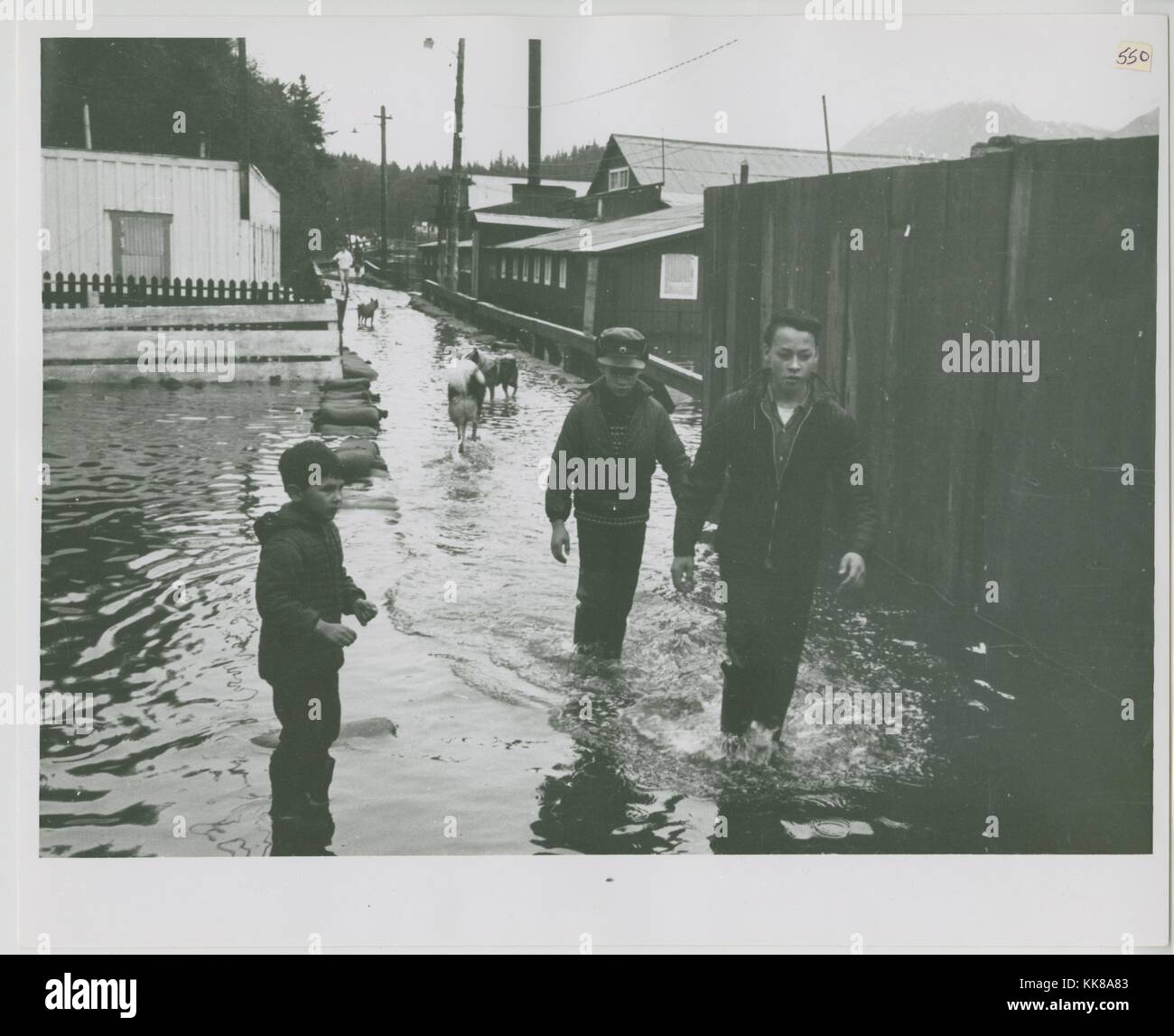 Seldovia flooding, with townspeople walking through ankle deep water, Alaska Earthquake Photographs, Image credit Department of Defense, 1964. Stock Photo