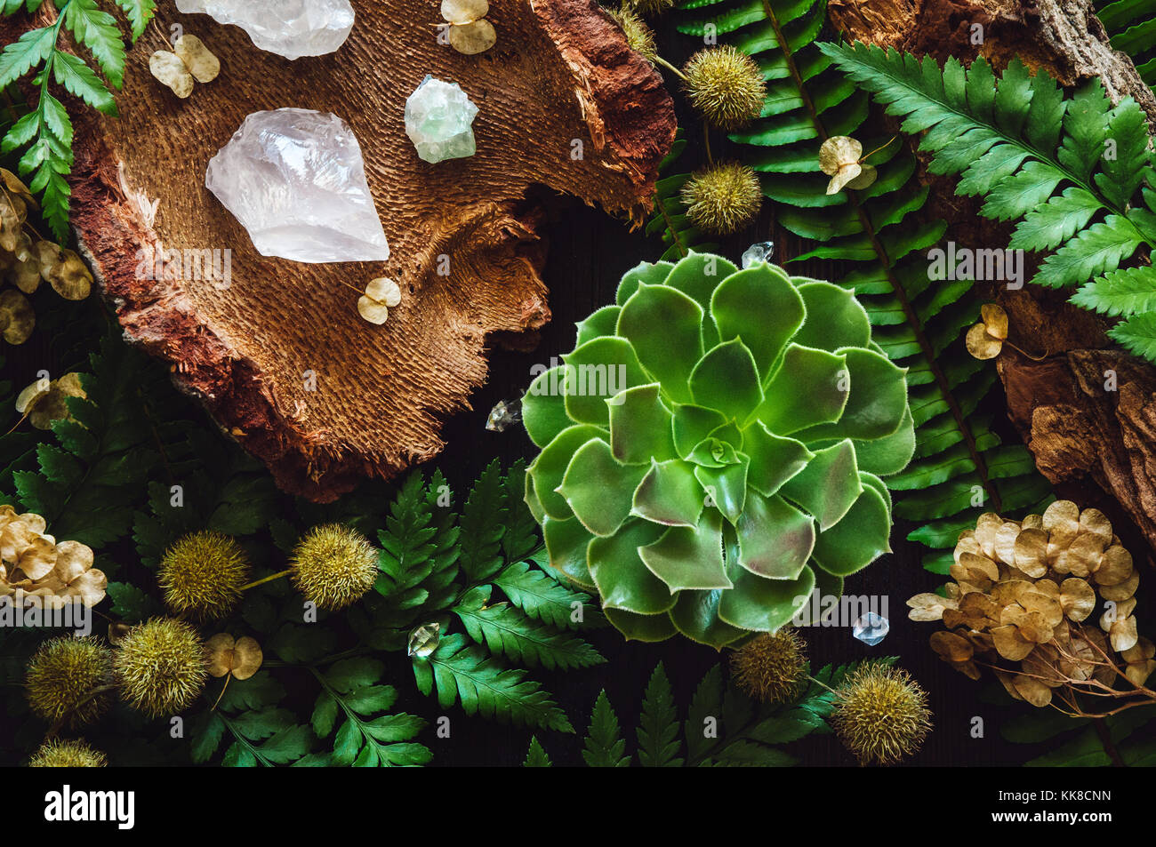 Seed Specimen High Resolution Stock Photography and Images Alamy