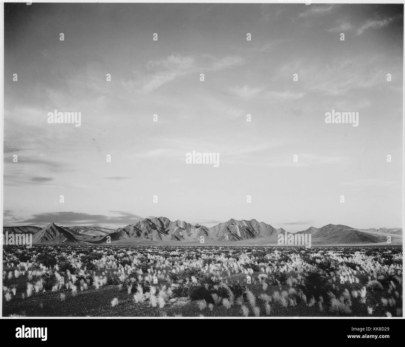 National world war Black and White Stock Photos Images Alamy