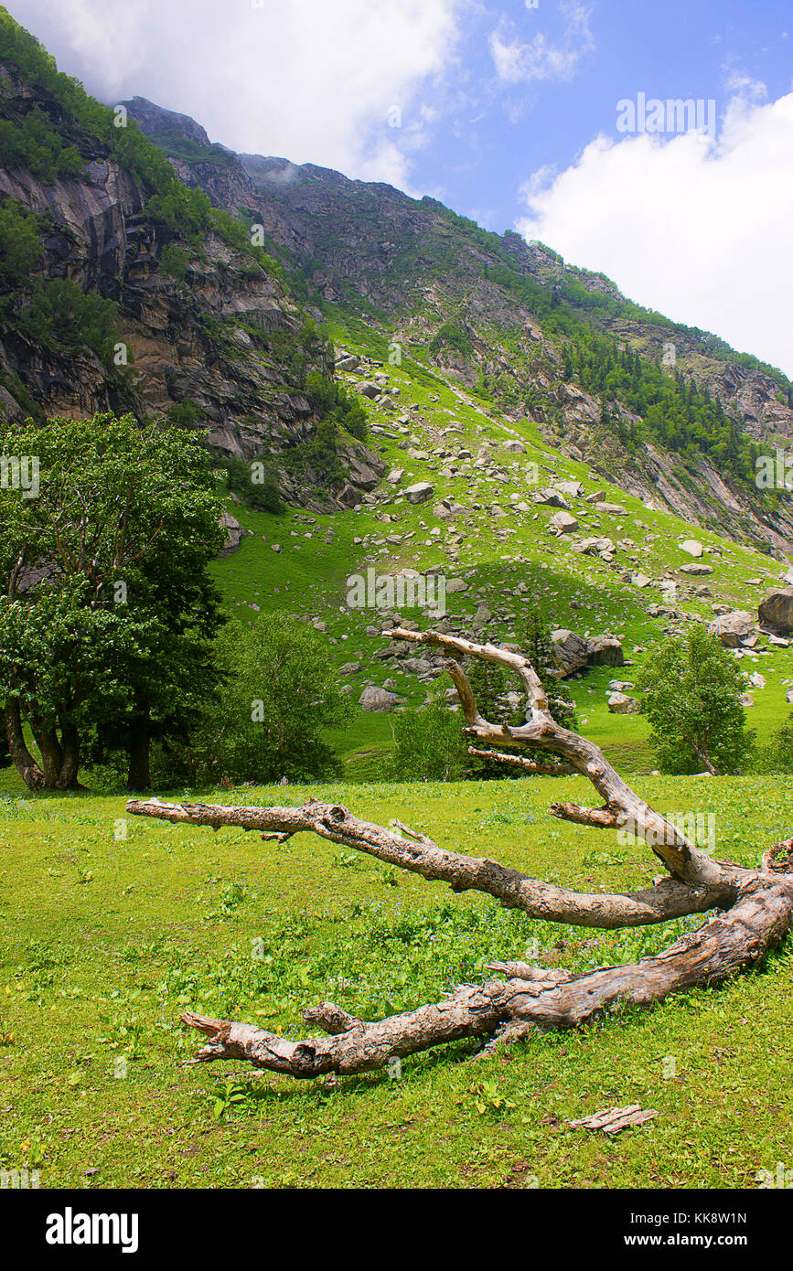 Landscape. Kinnaur district of Himachal Pradesh, Northern India Stock Photo