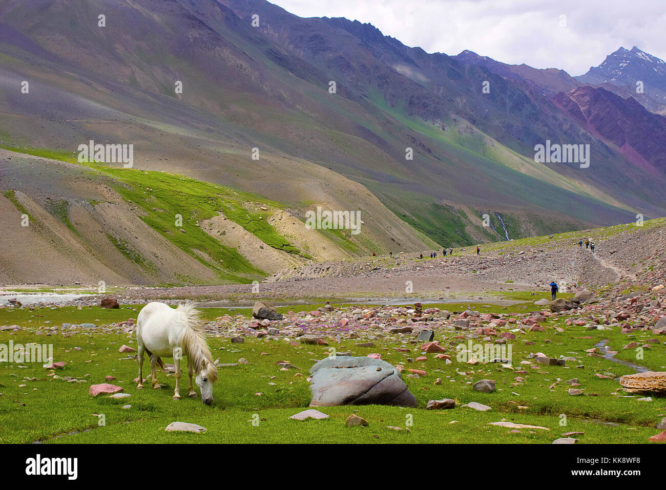 Mule grazing and trekkers walking down the hills. Himachal Pradesh, Northern India Stock Photo