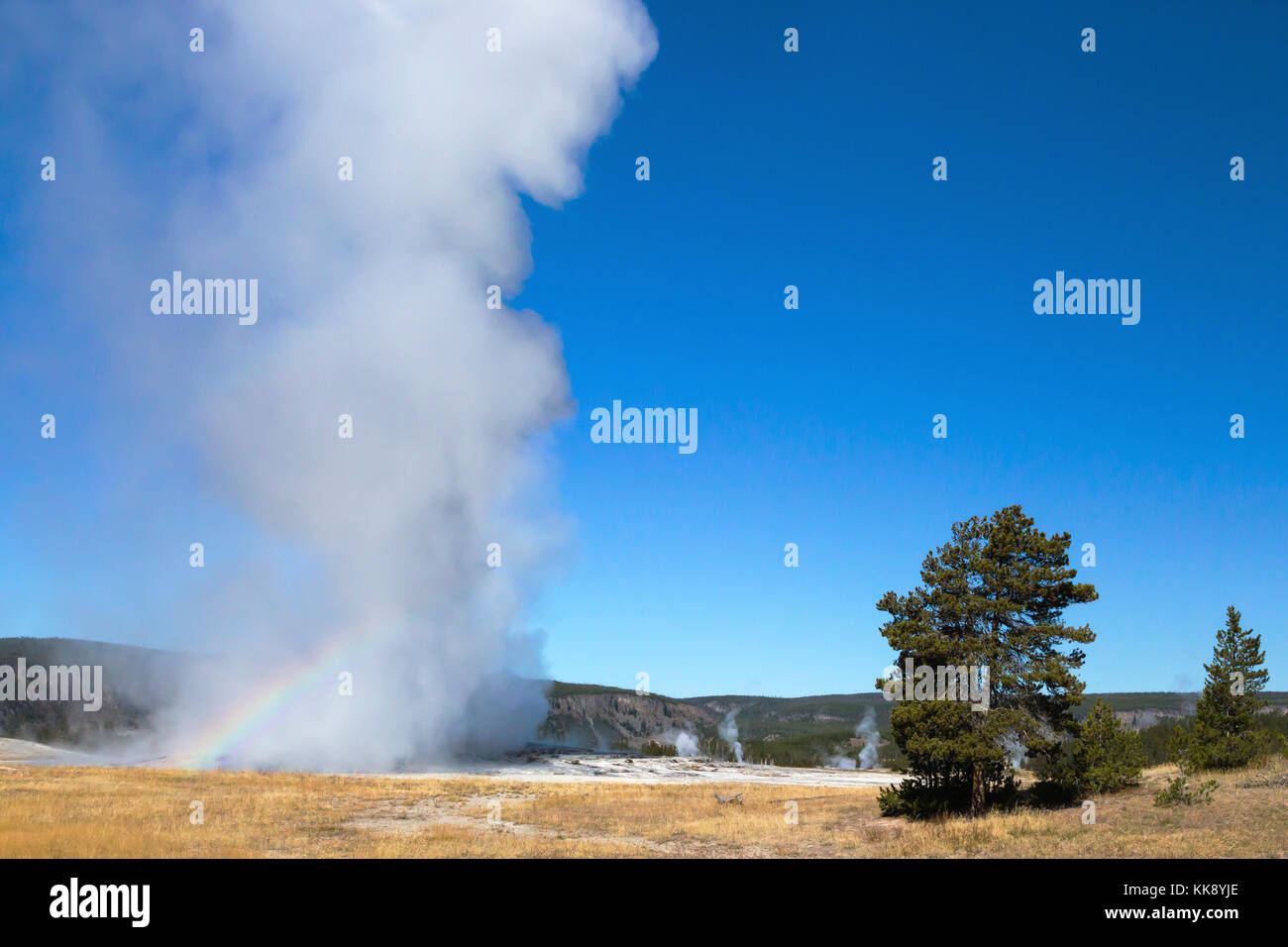 Old Faithful Geyser Thermal Feature erupting creating a rainbow in Upper Geyser Basin, Yellowstone National Park Stock Photo