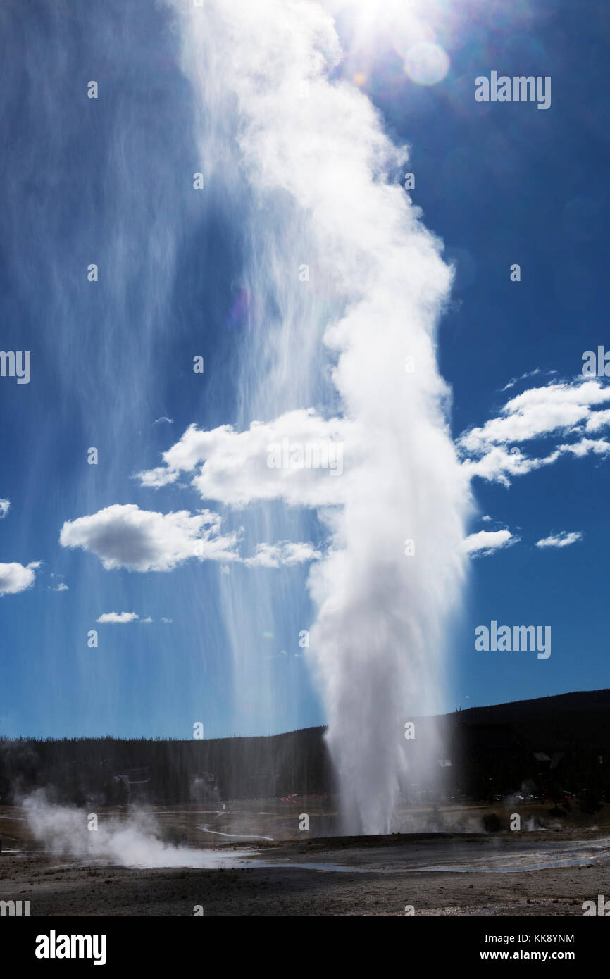 Beehive Geyser Thermal Feature erupting in Upper Geyser Basin