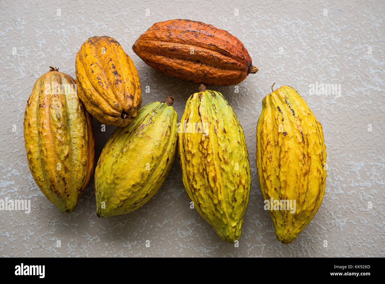 A pile of Natural organic whole Cocoa bean pods Stock Photo - Alamy