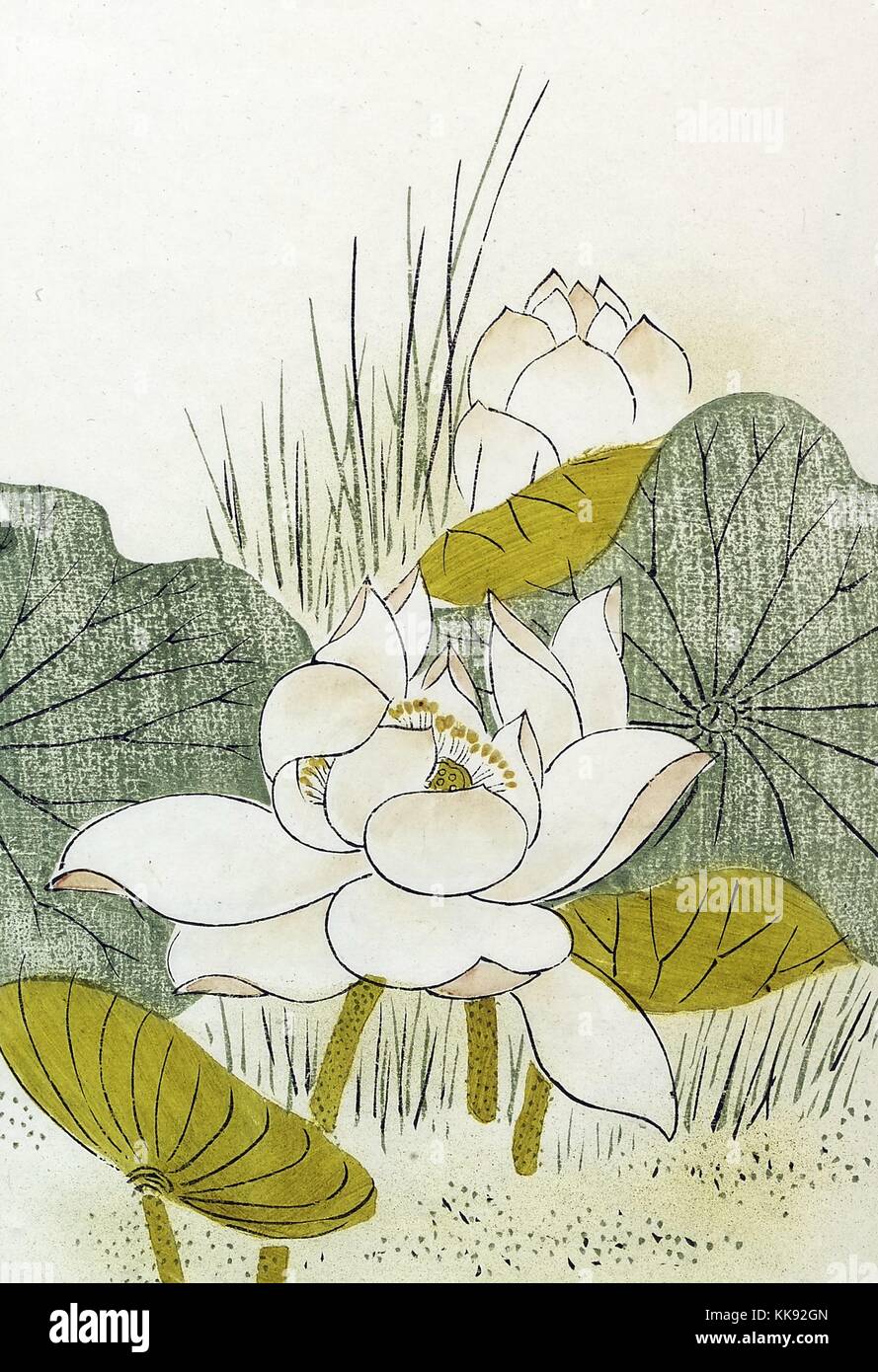 Inkstone depicting lotus leaves and flowers, 1746. From the New York Public Library. Stock Photo