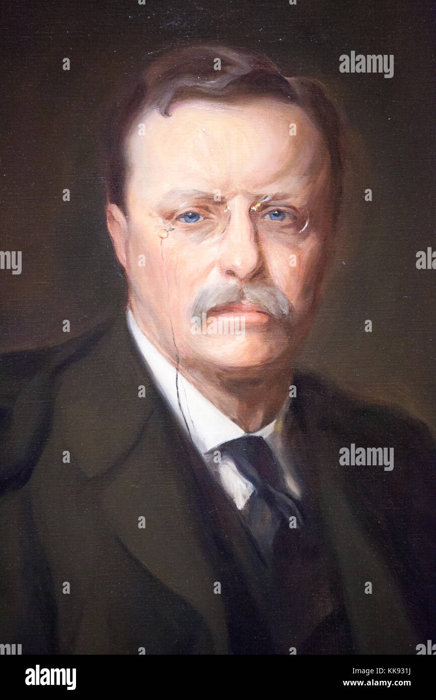 Theodore roosevelt portrait painting High Resolution Stock Photography ...