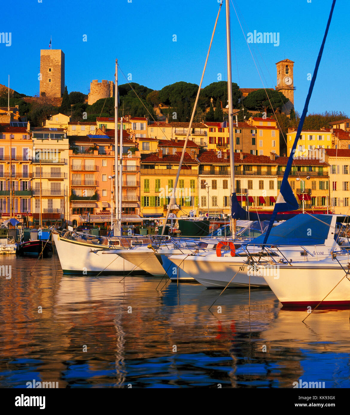 Old harbour and Le Suquet bathed in early morning golden light, Cannes, Cote d'Azur, French Riviera, France Stock Photo