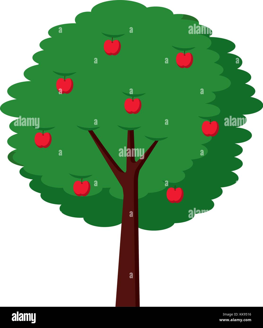 Fruit Apple Tree Agriculture Nature Botanical Stock Vector Image & Art 