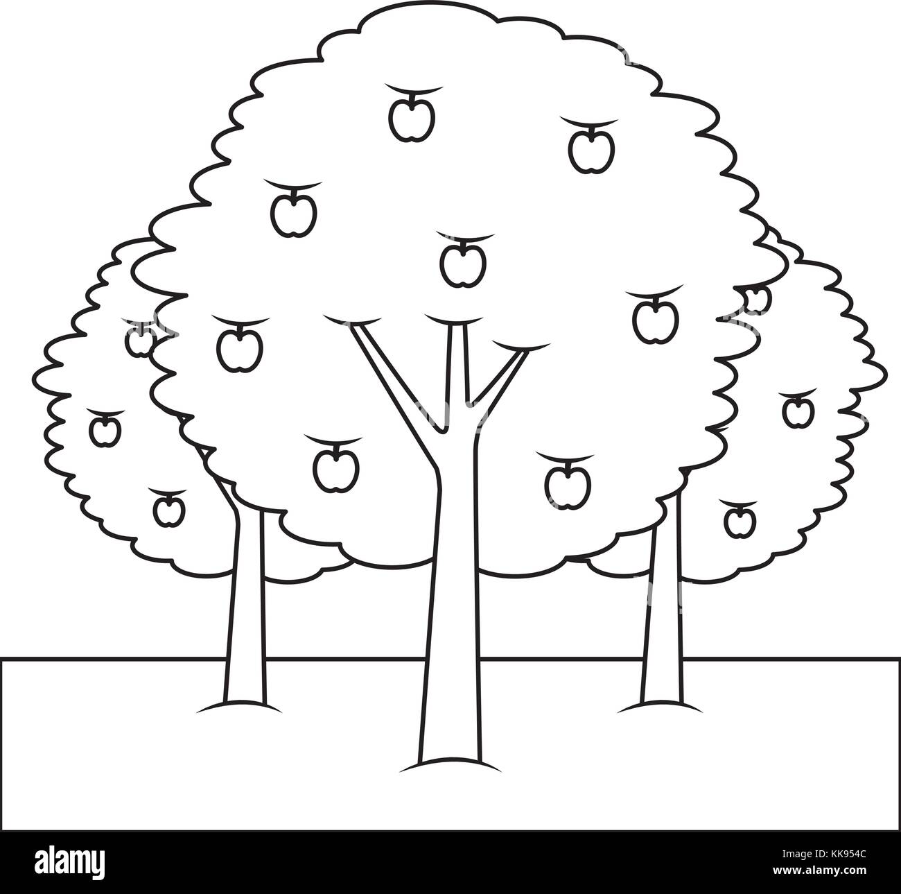 three apple trees bush foliage fruit natural Stock Vector Image & Art