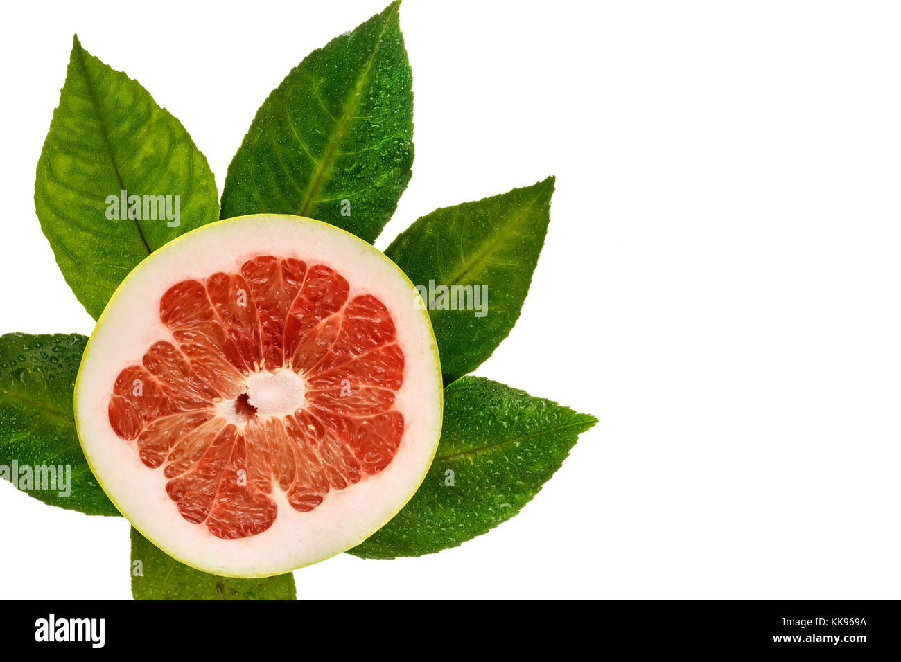 Cut grapefruit, fresh green foliage. Isolated top view Stock Photo Alamy