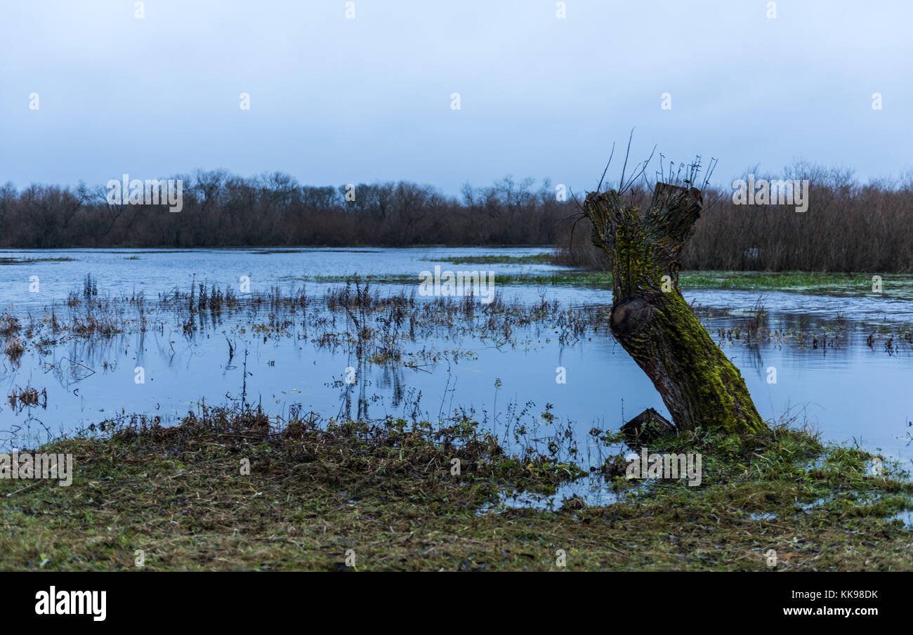 the Berezina River at Studienka ( Studenka) , Belarus Stock Photo ...