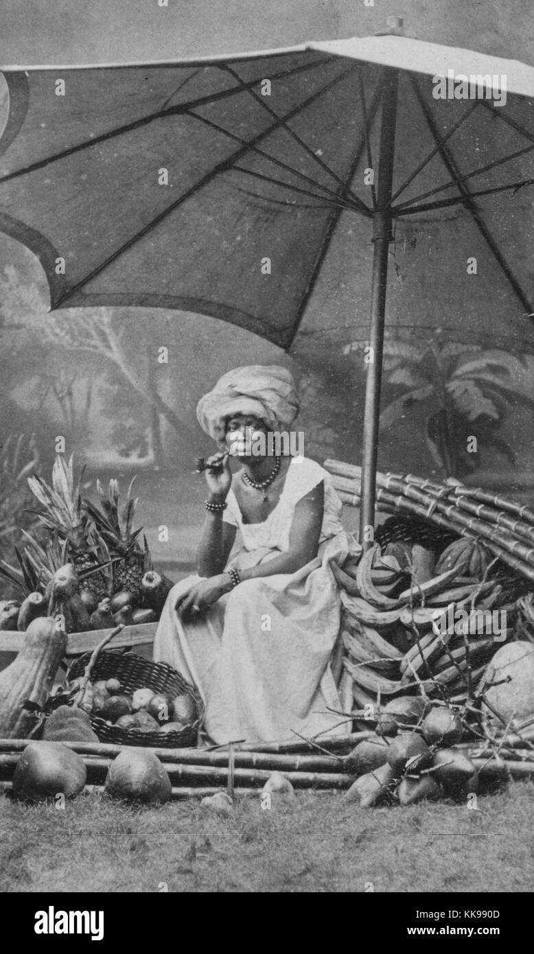 A photographic portrait of a woman sitting on a chair among various tropical fruits and vegetables, the woman is wearing a floor length white dress and a light colored head wrap, she is smoking a cigar and positioned under a large umbrella, plantains, coconuts, pineapples and large gourds can be seen, the photograph has been staged in a studio, a painted backdrop depicting a tropical scene is visible behind her, Brazil, 1874. From the New York Public Library. Stock Photo