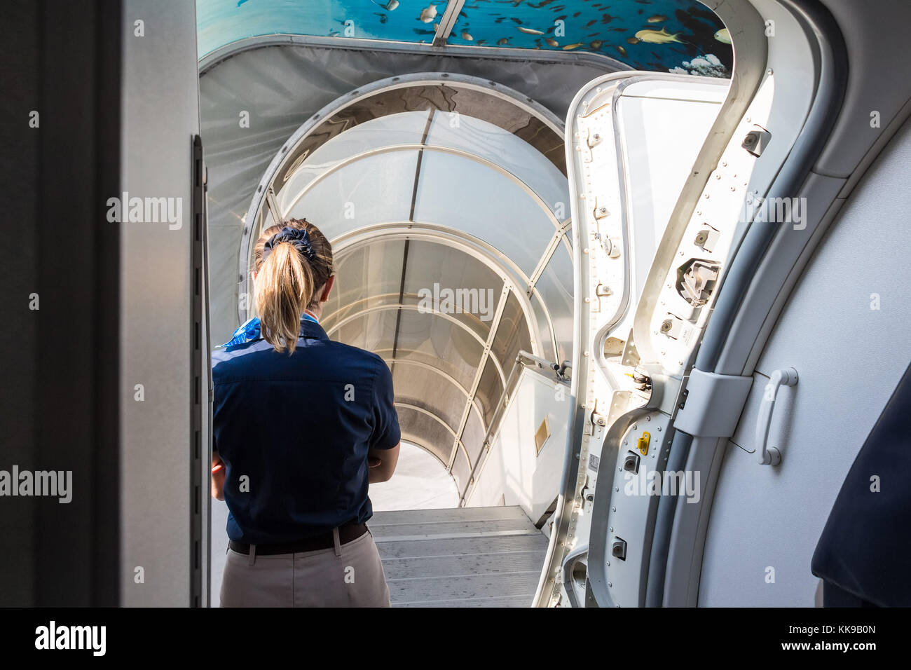 Emirates cabin crew hi-res stock photography and images - Alamy