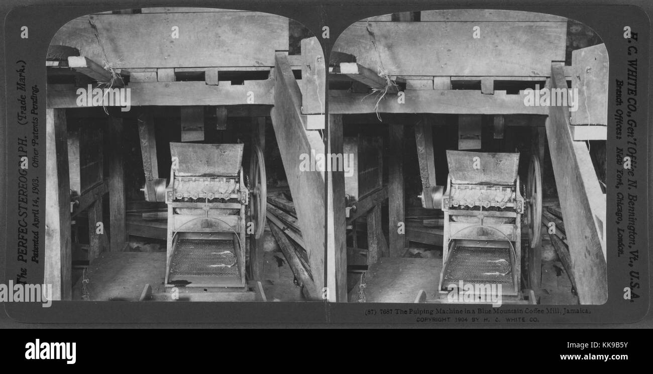 The pulping machine in a Blue Mountain coffee mill, Jamaica, 1904. From the New York Public