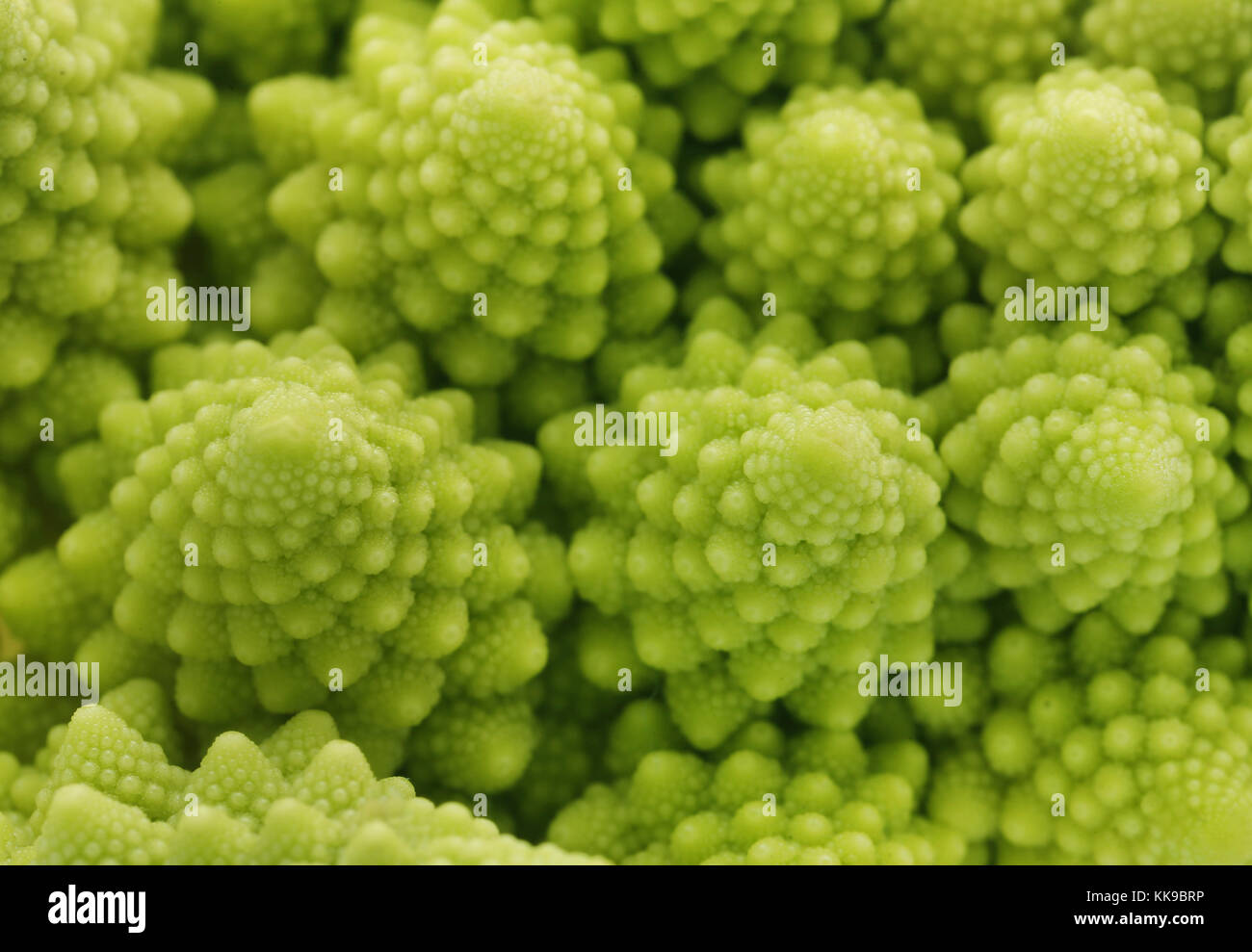 Background by fresh surface Romanesco broccoli Stock Photo