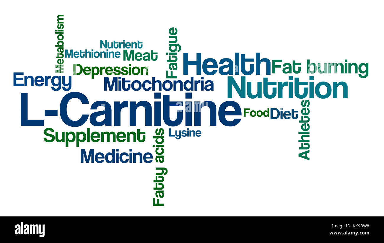 Word Cloud on a white background - L-Carnitine Stock Photo