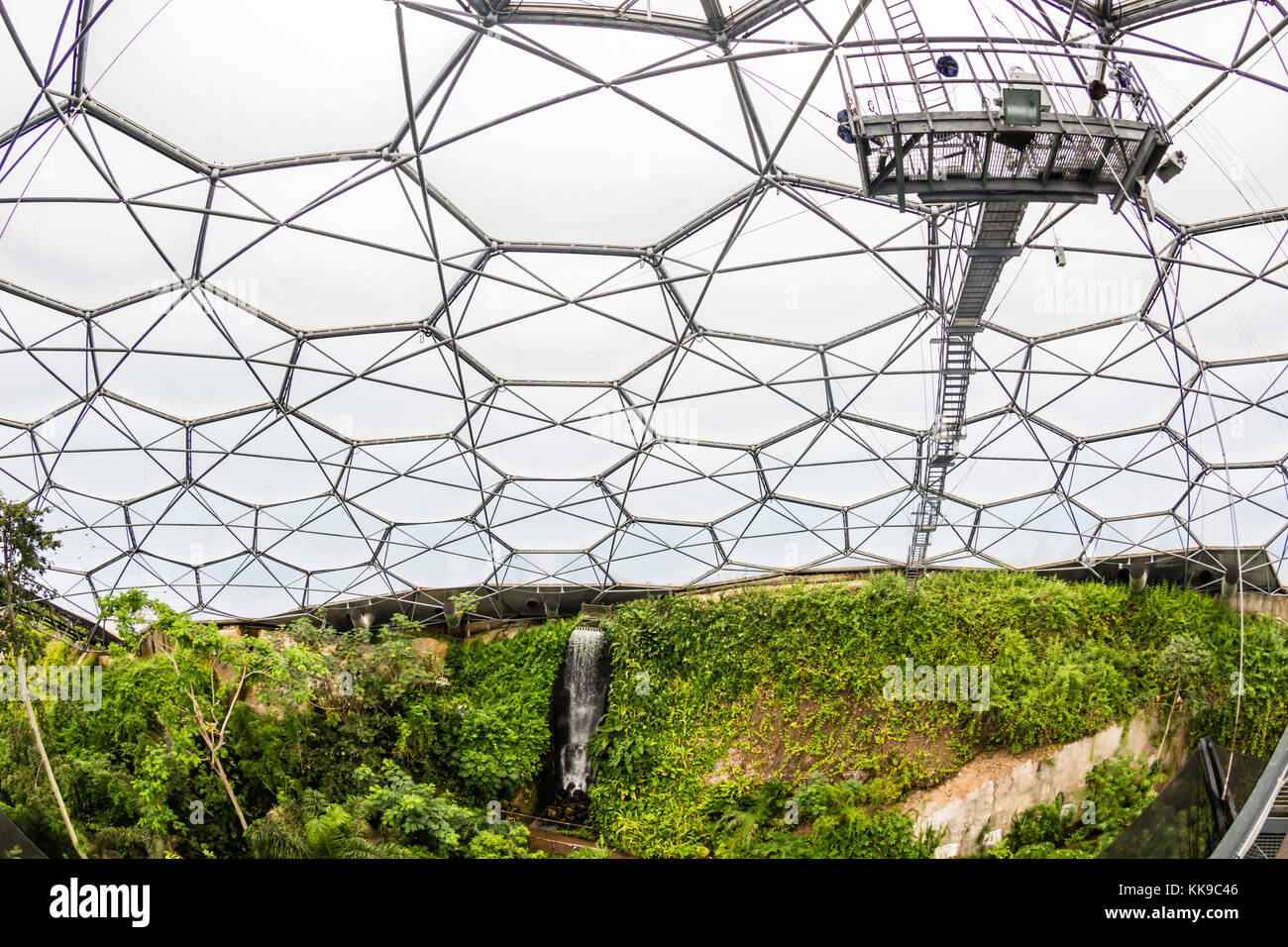 Inside the tropical biome at the popular visitor attraction, The Eden