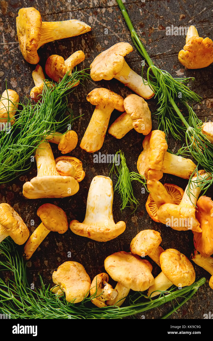 Raw wild chanterelle mushrooms redy for cooking. dark background