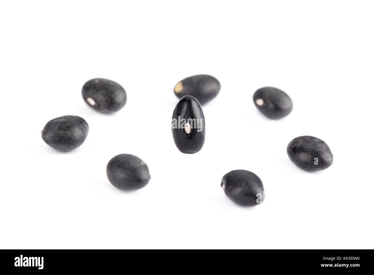 black kidney beans Stock Photo Alamy