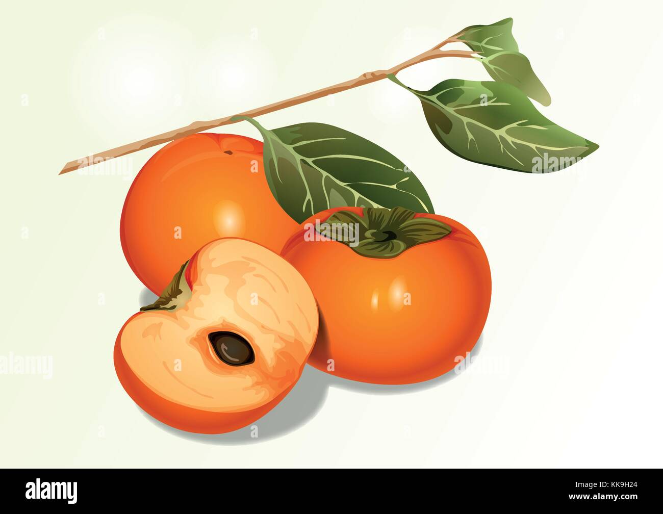 Fruit objects Apple, tomato, chestnut, etc 004 Stock Vector Image & Art Alamy