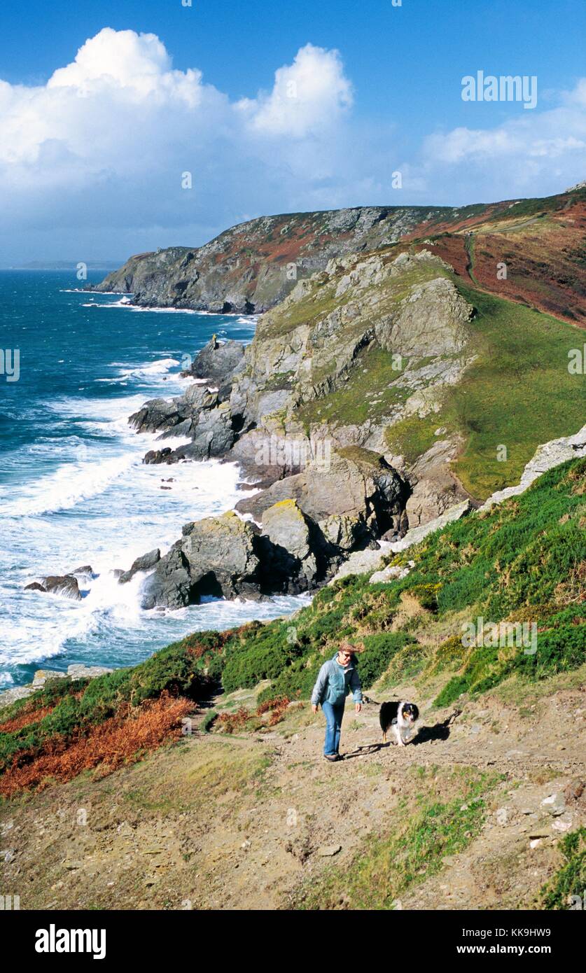 Cliff path above Lantern Rock looking NW toward Bolt Tail between Salcombe and Hope, south Devon. Woman with border collie dog Stock Photo