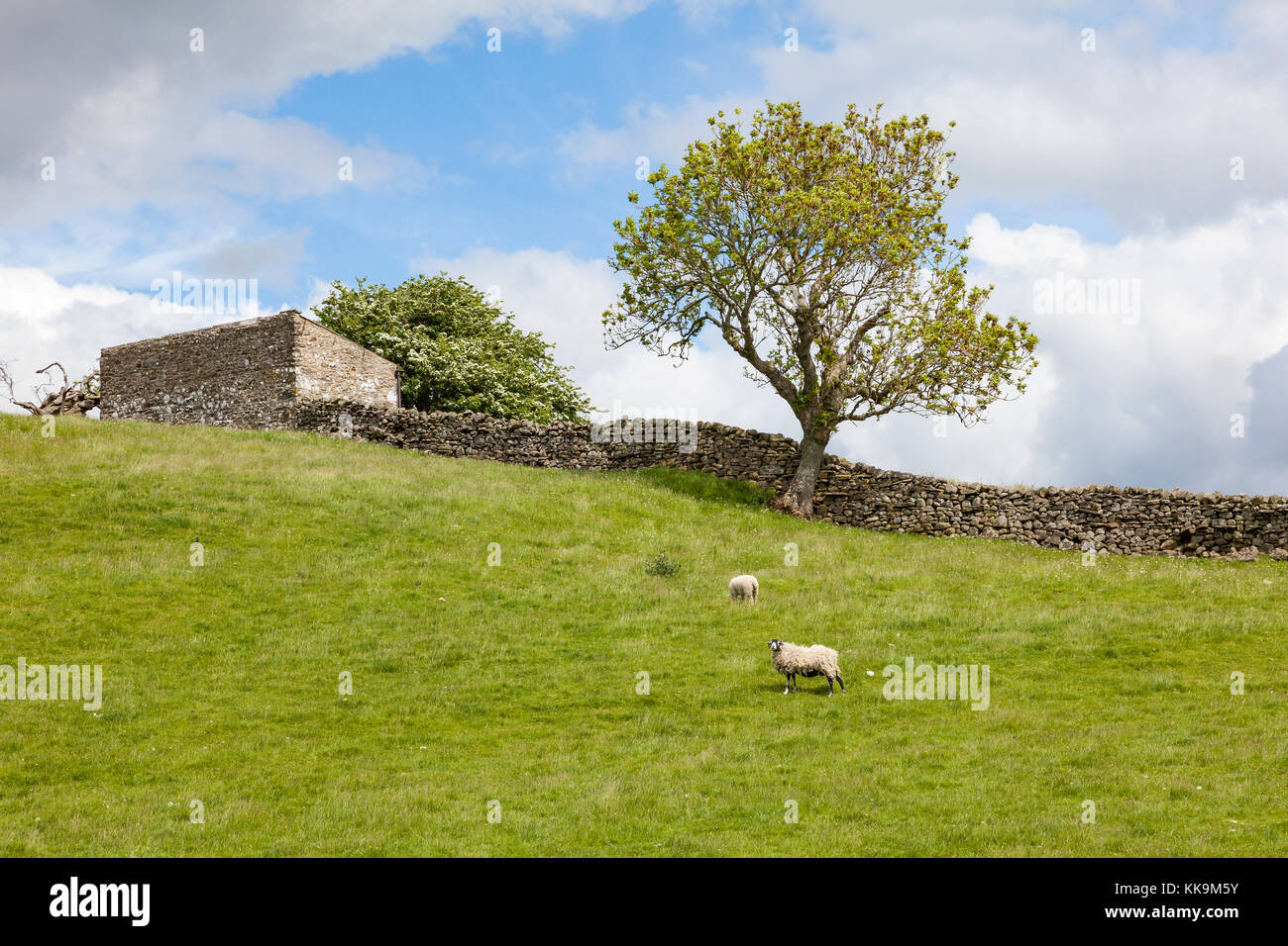 Houses and farm buildings with dry stone walls in the Forest of
