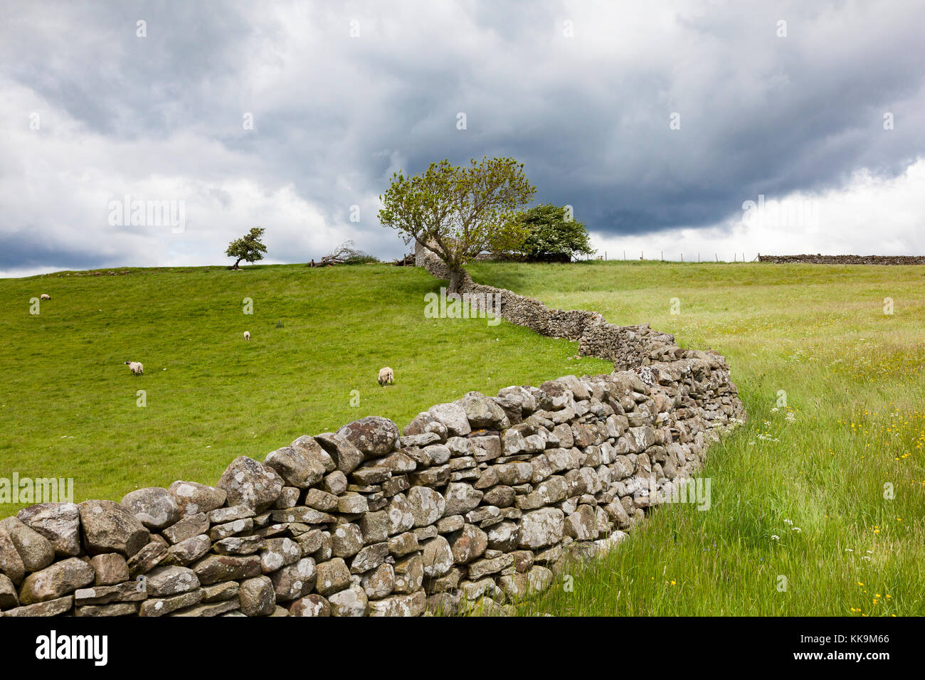 Houses and farm buildings with dry stone walls in the Forest of