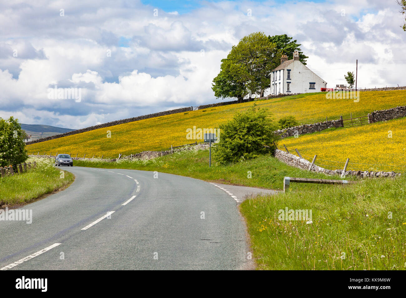 House & farm buildings,Upper Teasdale in summer, buttercup filled
