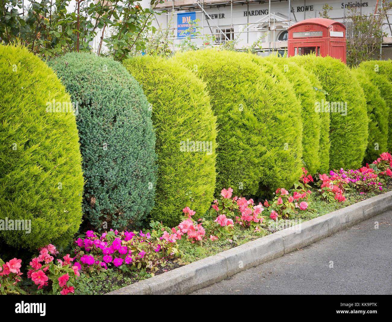 Decorative functional boundary hedge in a hotel garden in North Devon UK Stock Photo