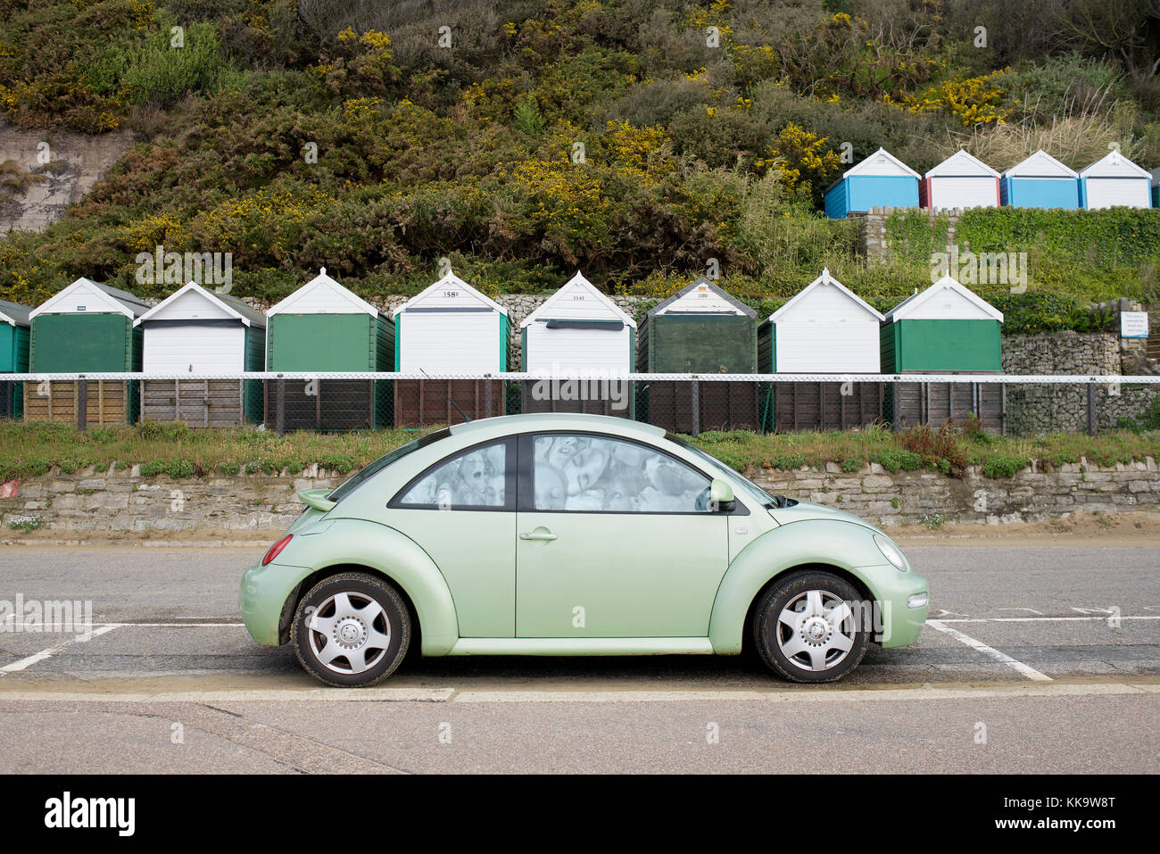 Beetle in dorset hi-res stock photography and images - Alamy