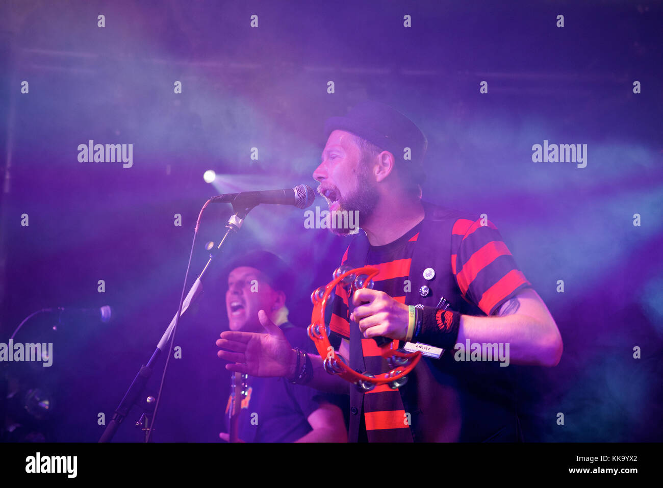 The Crash Landings performing at Christchurch Music Festival in 2015 Stock Photo Alamy